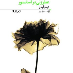 عطر زنی در آسانسور