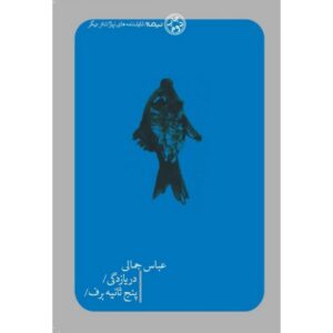 دریازدگی/ پنج ثانیه برف